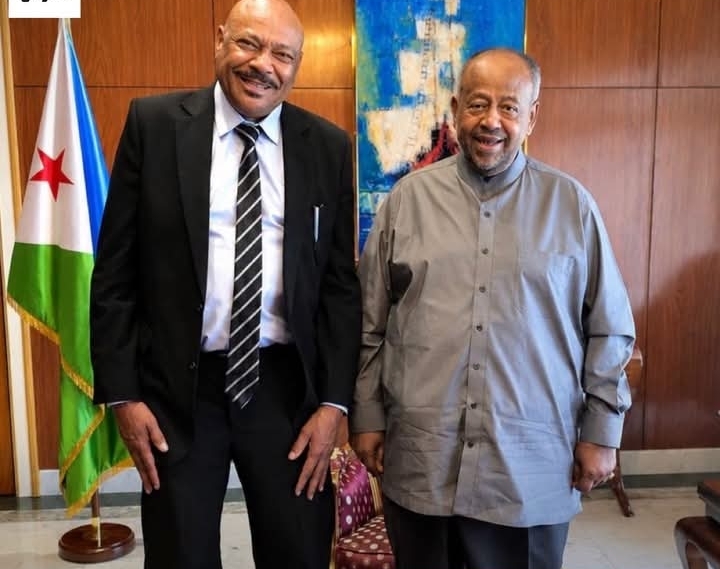 رئيس جيبوتي يلتقي رجل أعمال سوداني