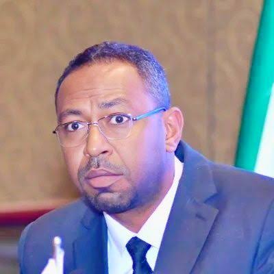 أمجد فريد: أمريكا تعرقل نشر تقرير أممي يتضمن أدلة  تورط الإمارات في دعم المليشيا