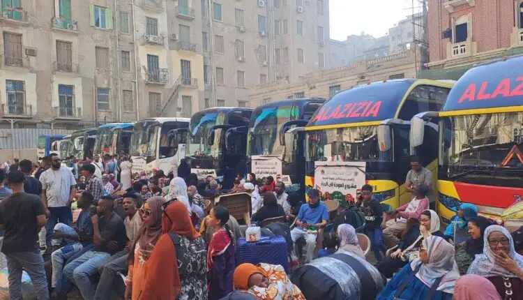 تفويج 882 سودانياً اليوم من مصر إلى البلاد ضمن العودة الطوعية